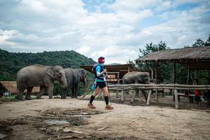 BIB: 
                            <button type="button" onclick="openModal(22424111)" class="btn btn-primary btn-sm float-right btn-popup" data-toggle="modal" data-target=".modal-high-quality">
                        <i class="fas fa-shopping-cart"></i> Add to Cart
                    </button>
                                            <button type="button" onclick="isThisMe(22424111, true)" class="btn btn-success btn-sm float-right btn-popup btn-isme hidden" data-toggle="tooltip" data-placement="bottom" title="นี่คือรูปของคุณใช่ไหม คลิกที่นี่เพื่อเอาเข้าอัลบั้ม">
                        <i class="fas fa-plus"></i> Add to album
                    </button>
                    <button type="button" onclick="isThisMe(22424111, false)" class="btn btn-warning btn-sm float-right btn-popup btn-isnotme hidden">
                        <i class="fas fa-ban"></i> Remove from album
                    </button>